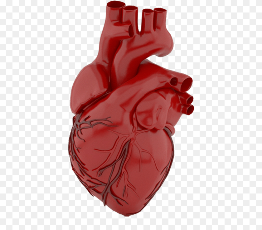 408x737 Heart Illustration, Clothing, Glove, Food, Ketchup PNG