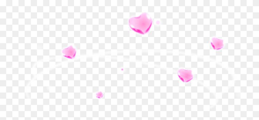 883x373 Heart Pink Overlay Halo Halo Overlay, Graphics, Floral Design HD PNG Download
