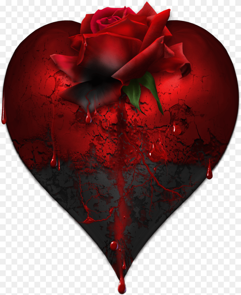 946x1155 Heart Rose Picture Good Night Image Love, Flower, Plant, Petal Transparent PNG