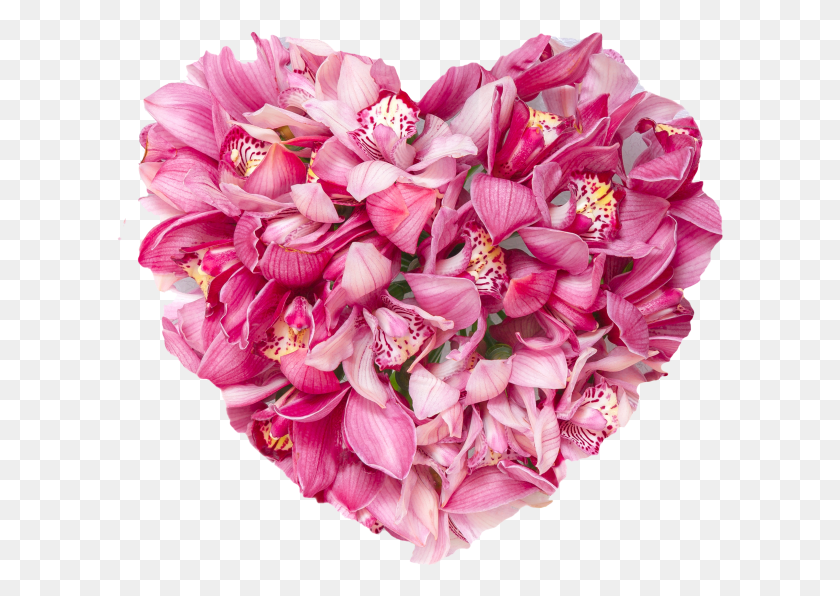 607x536 Heart With Flowers, Plant, Flower, Blossom HD PNG Download