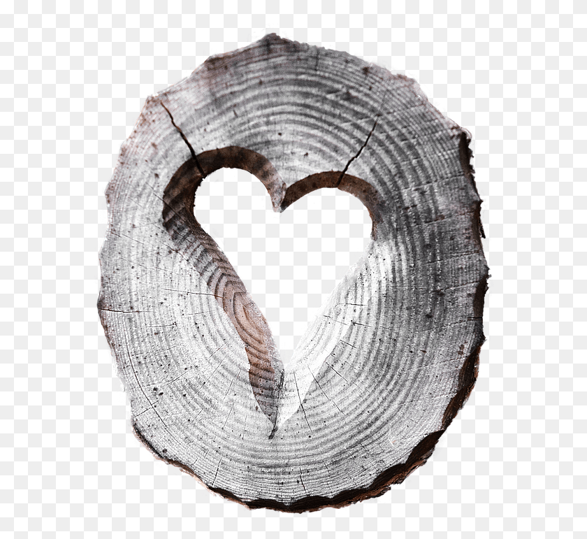 578x711 Heart Wood Carved Isolated Of Course Wood Heart, Rug, Paper HD PNG Download