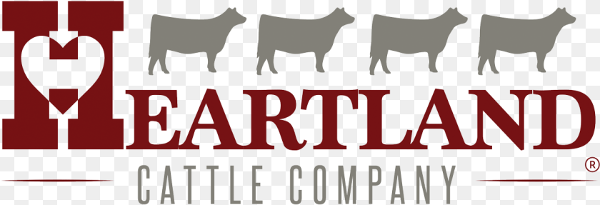Heartland Cattle Company, Livestock, Dynamite, Weapon, Text Transparent PNG