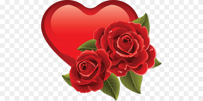 Hearts Album, Flower, Plant, Rose PNG