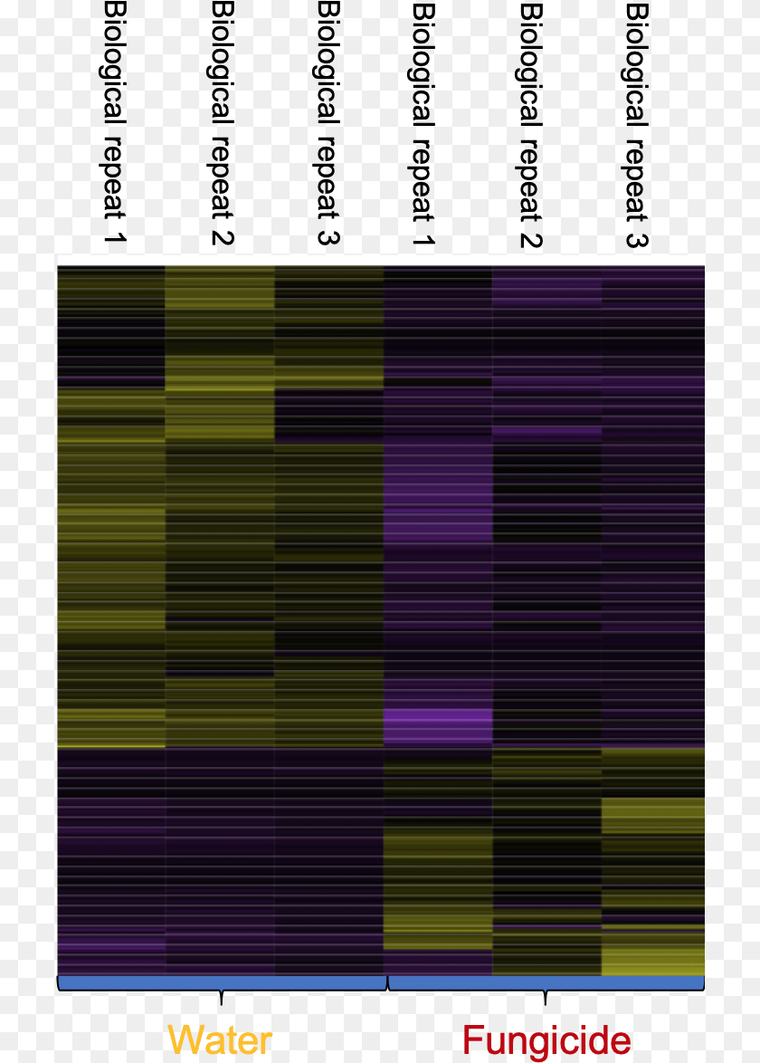 Heat Map With Genes Turned On Or Off Purple, Architecture, Building PNG