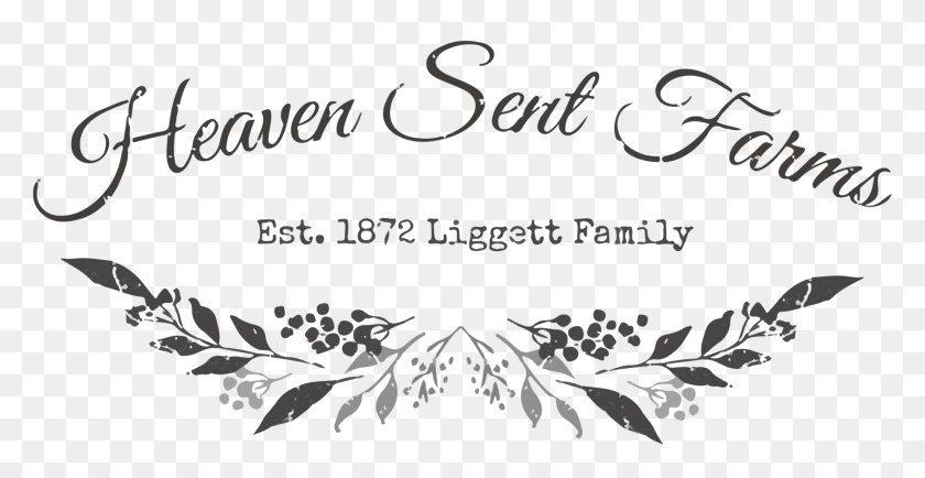 2048x984 Heaven Sent Farms Calligraphy, Text, Alphabet, Handwriting HD PNG Download