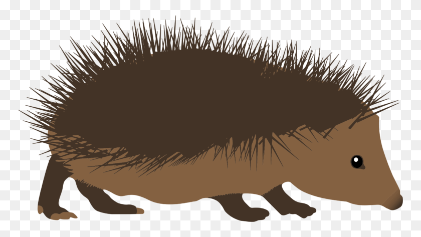 768x413 Hedgehog Porcupine Clip Art, Animal, Invertebrate, Mammal HD PNG Download