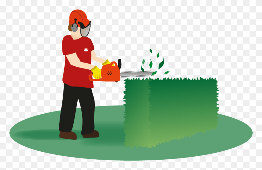 945x589 Hedges Clipart Hedge Trimming Hedge Trimming Clipart, Person, Human, Tool HD PNG Download