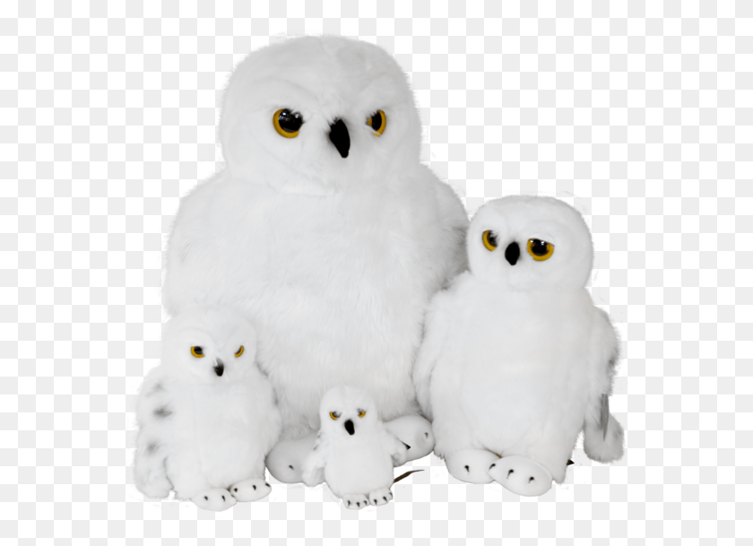 564x549 Hedwig Plush Platform, Snowman, Winter, Snow HD PNG Download
