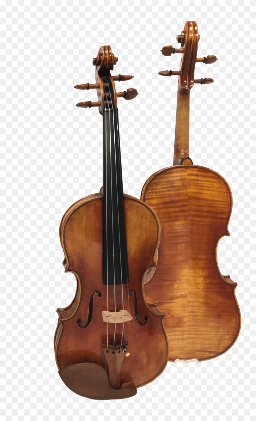 789x1334 Descargar Png Heifetz Jh600 Violín Viola, Actividades De Ocio, Instrumento Musical, Violín Hd Png