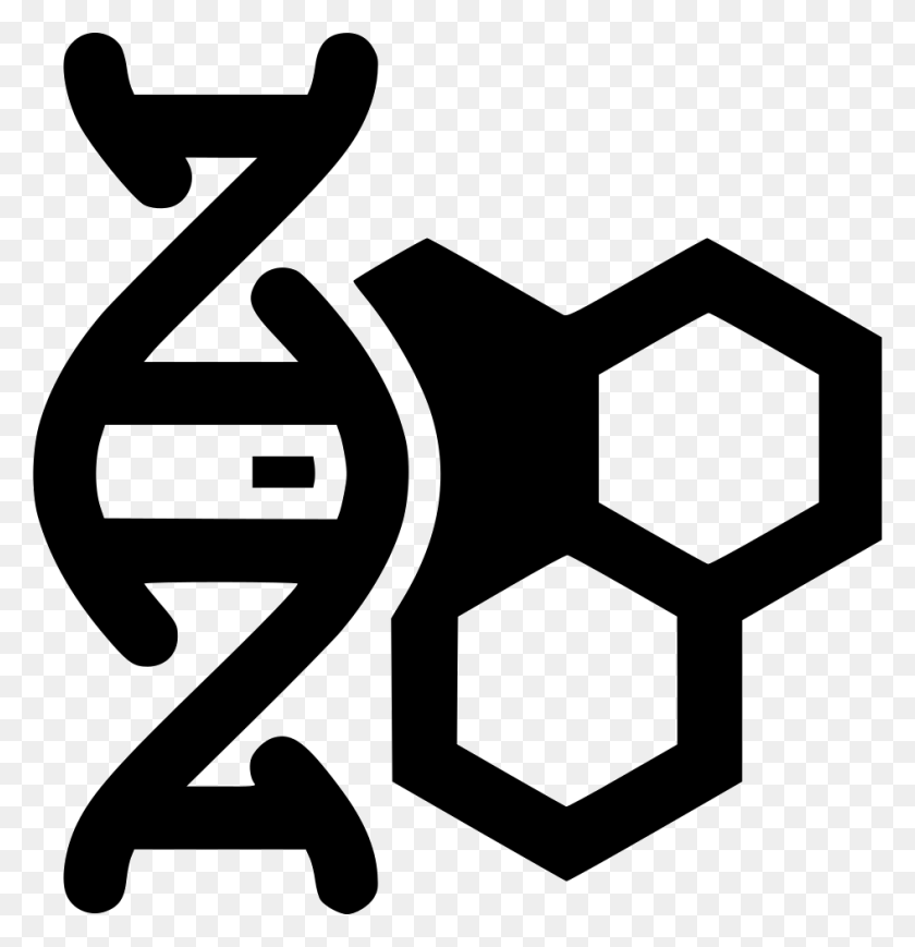944x980 Helix Dna Cell Comments Bioinfo Icon, Text, Alphabet, Symbol HD PNG Download