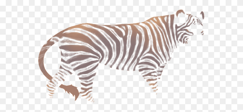 577x327 Hellebore Zebra Zebra, Mamífero, Animal, La Vida Silvestre Hd Png