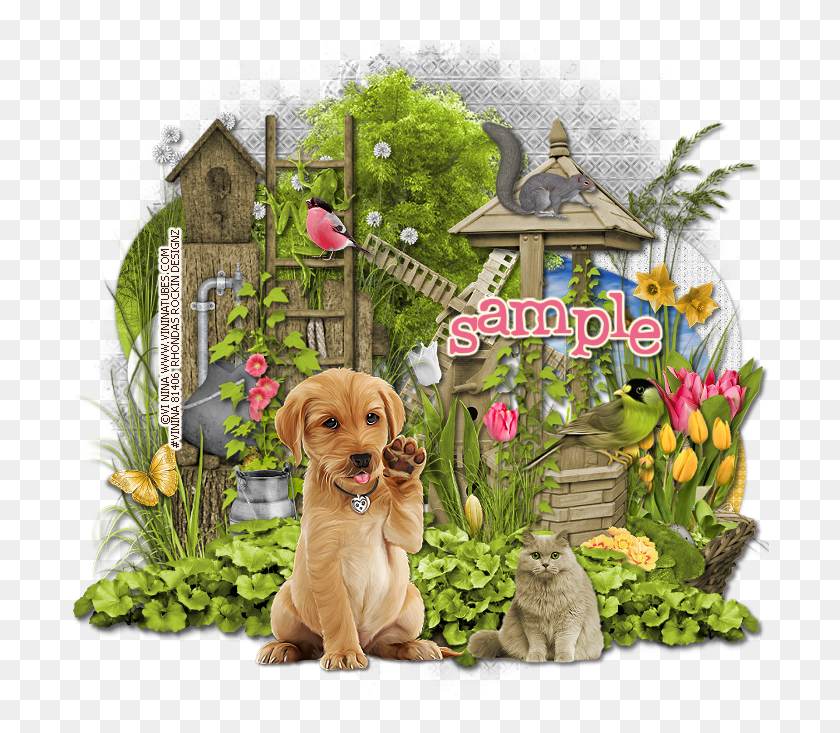 698x673 Hello Summer Ptu Companion Dog, Pet, Canine, Animal HD PNG Download