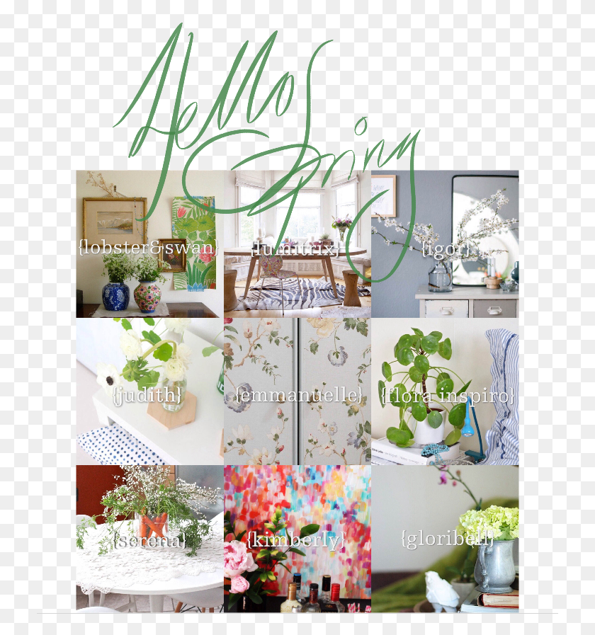 737x837 Hellospring Interior Design, Advertisement, Poster, Plant HD PNG Download