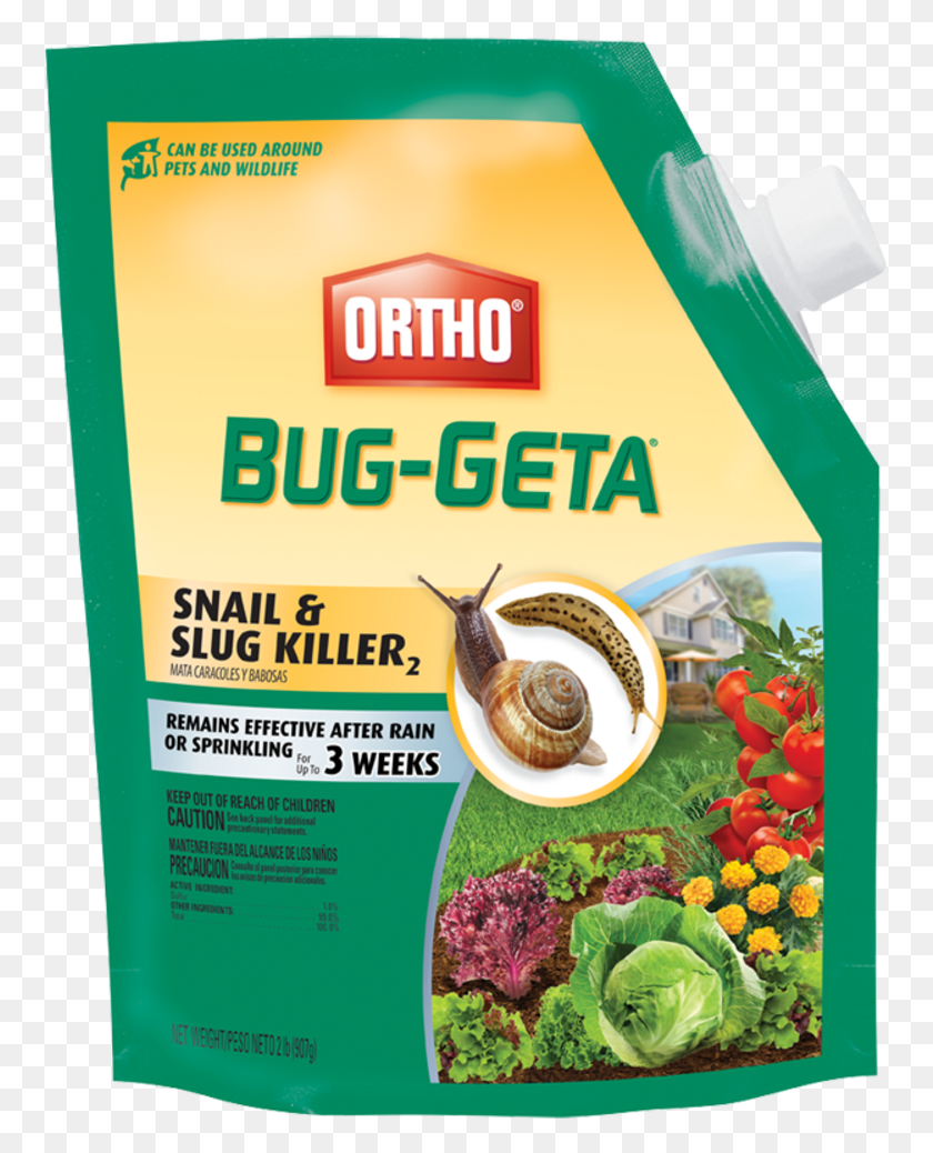 763x978 Help Center Ortho Bug Geta, Bottle, Animal, Invertebrate HD PNG Download