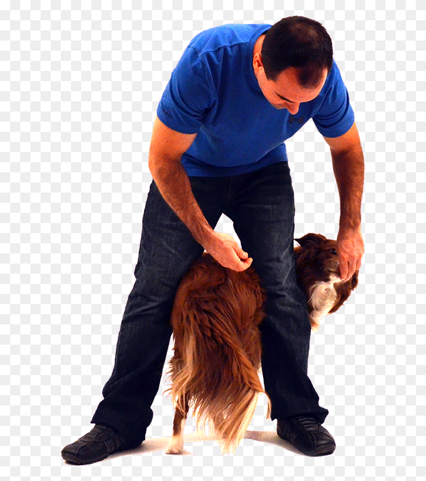 600x889 Помог Более 10000 Владельцев Собак Приучить Их Сидение Собак, Одежда, Одежда, Человек Hd Png Скачать