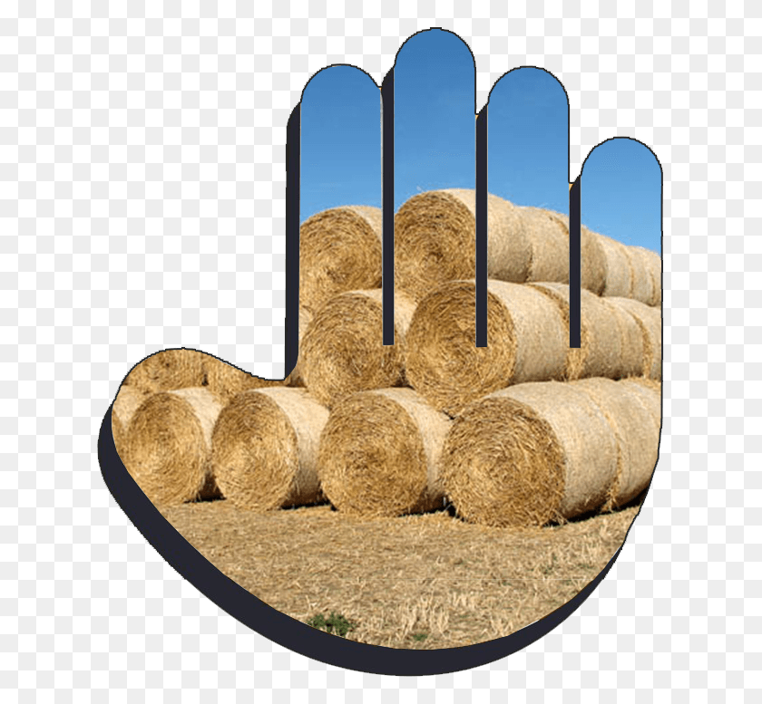 625x717 Helping Hand Hay, Nature, Outdoors, Countryside HD PNG Download