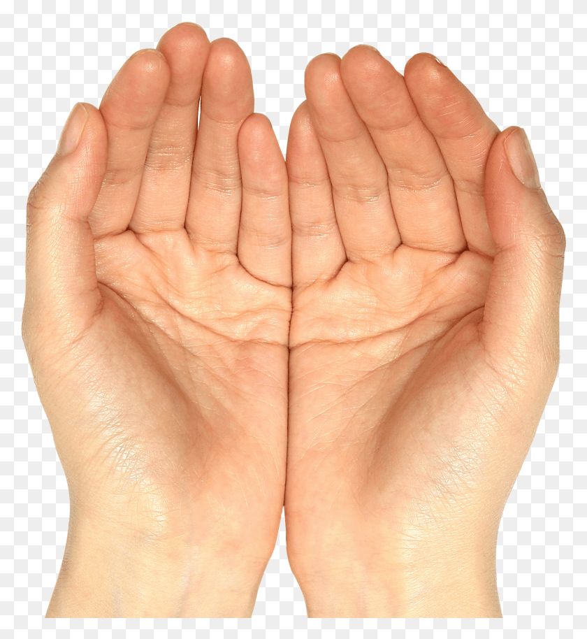1424x1560 Helpinghands Gt Hands Clipart, Person, Human, Hand HD PNG Download