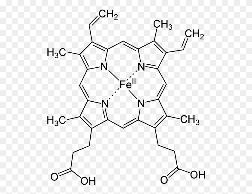 528x585 Гемовая Структура Химическая Структура Гемоглобина, Серый, Мир Варкрафта Png Скачать