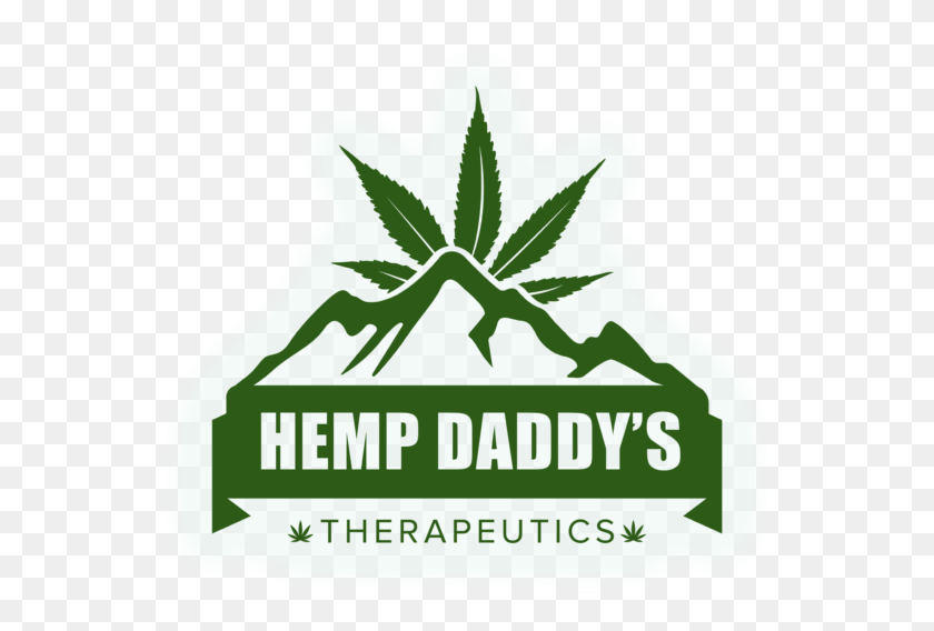 559x508 Hemp Daddy39s Logo Hemp Daddy, Plant, Potted Plant, Vase HD PNG Download