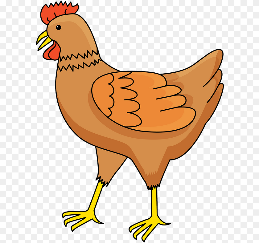 615x789 Hen Animal, Bird, Chicken, Fowl Clipart PNG