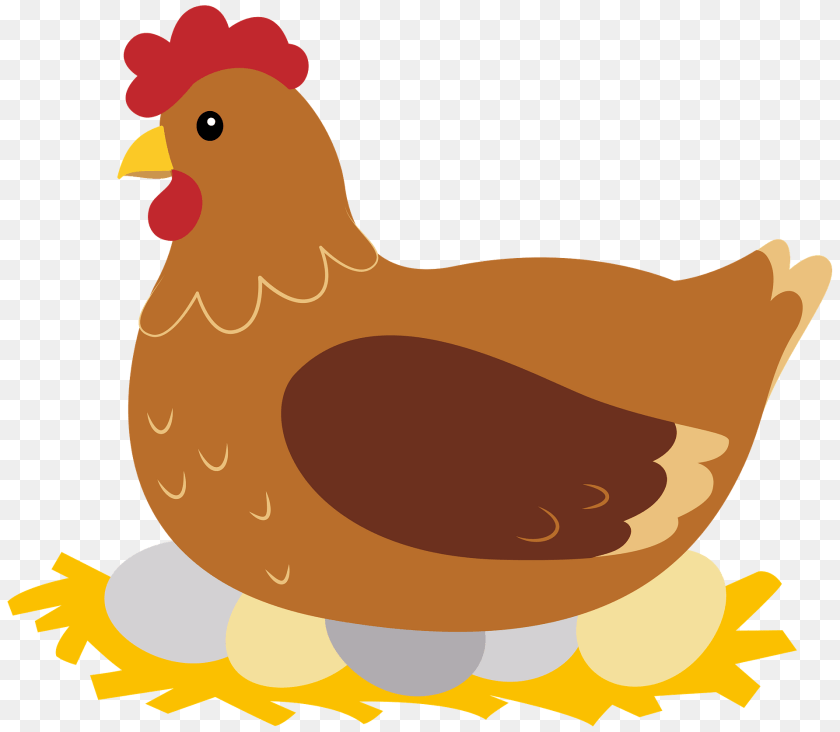 Hen Clipart, Animal, Bird, Chicken, Fowl PNG