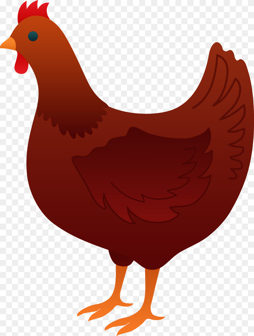 Hen Clipart Look, Animal, Bird, Chicken, Fowl PNG