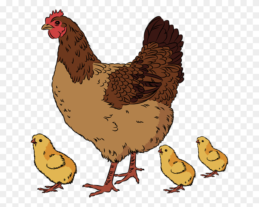 640x612 Hen Pencil And In Hen With Chicken Clipart, Poultry, Fowl, Bird HD PNG Download