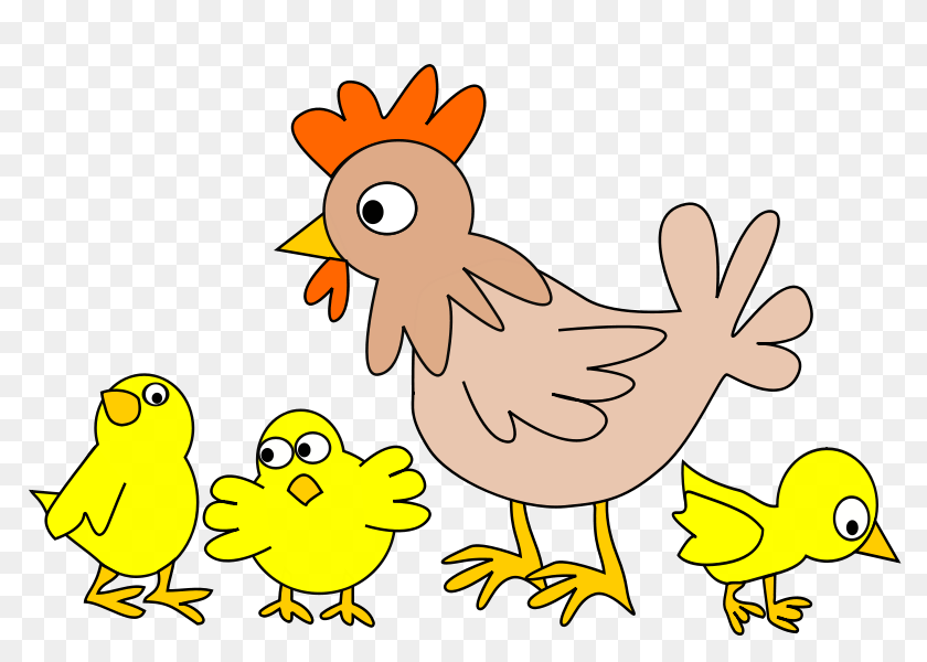 800x600 Hen With Three Chicken, Animal, Bird, Fowl, Poultry Transparent PNG