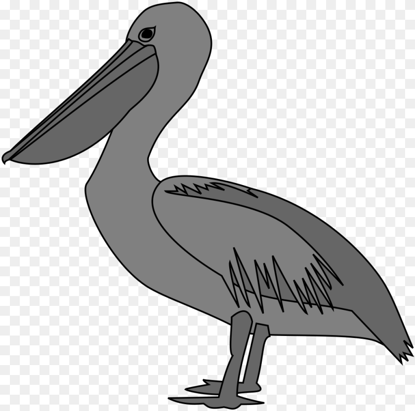 1032x1024 Heraldic Pelican, Animal, Bird, Waterfowl Transparent PNG