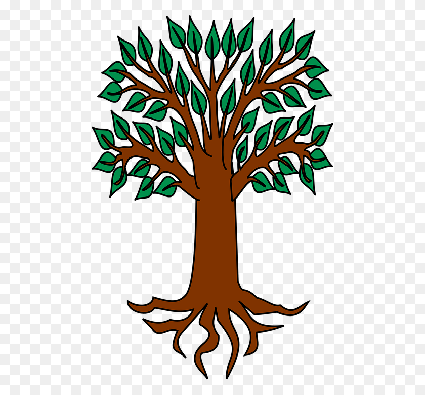 478x720 Heraldic Tree, Plant, Palm Tree, Arecaceae HD PNG Download