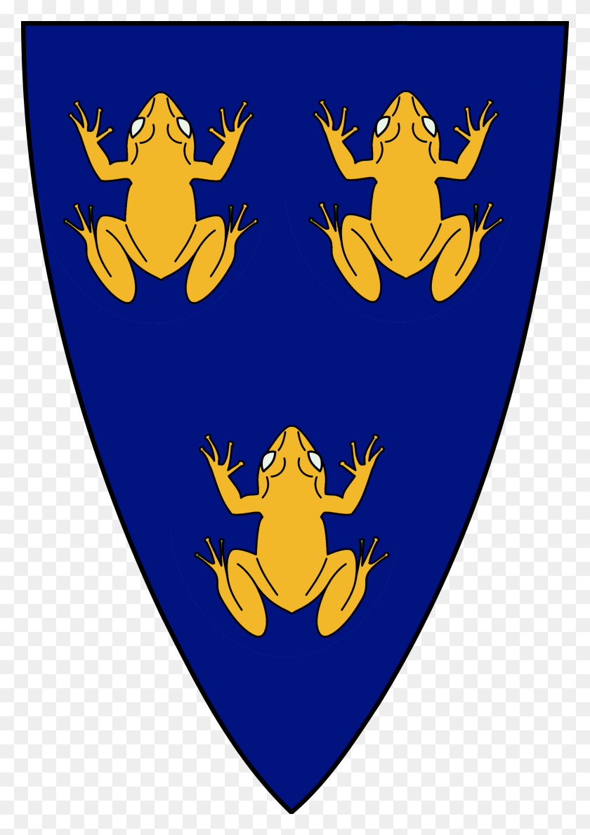 2000x2897 Heraldry Coat Of Arms Frog, Armor, Shield, Plectrum HD PNG Download