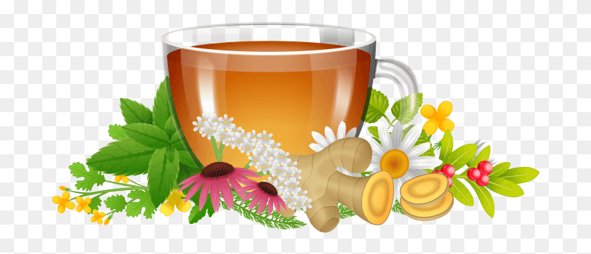 694x302 Herbal Banner, Tea, Beverage, Drink HD PNG Download