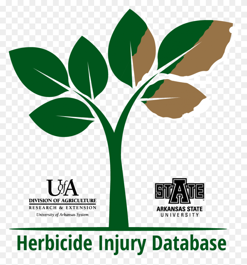 873x944 Herbicide Injury Database Logo Arkansas State University, Advertisement, Poster, Flyer HD PNG Download