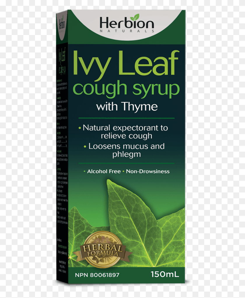 483x962 Herbion Naturals Ivy Leaf Cough Syrup With Thyme 150 Herbion, Plant, Vase, Jar HD PNG Download