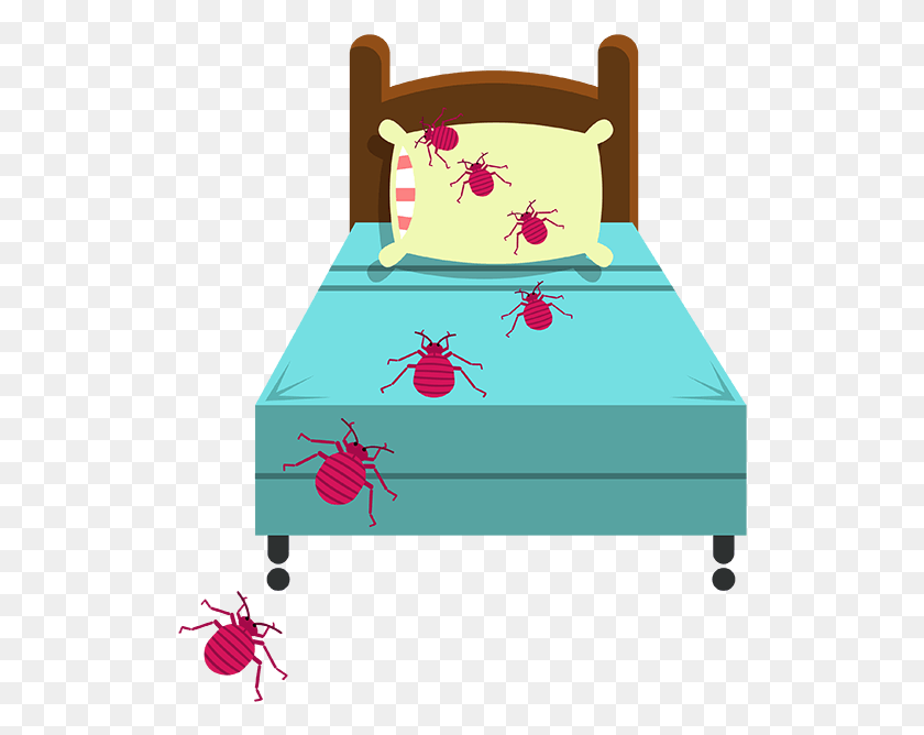518x608 Here Are Some Details From The Nyc Emoji Series Animated Dead Bed Bug, Plant, Gift, Cushion HD PNG Download