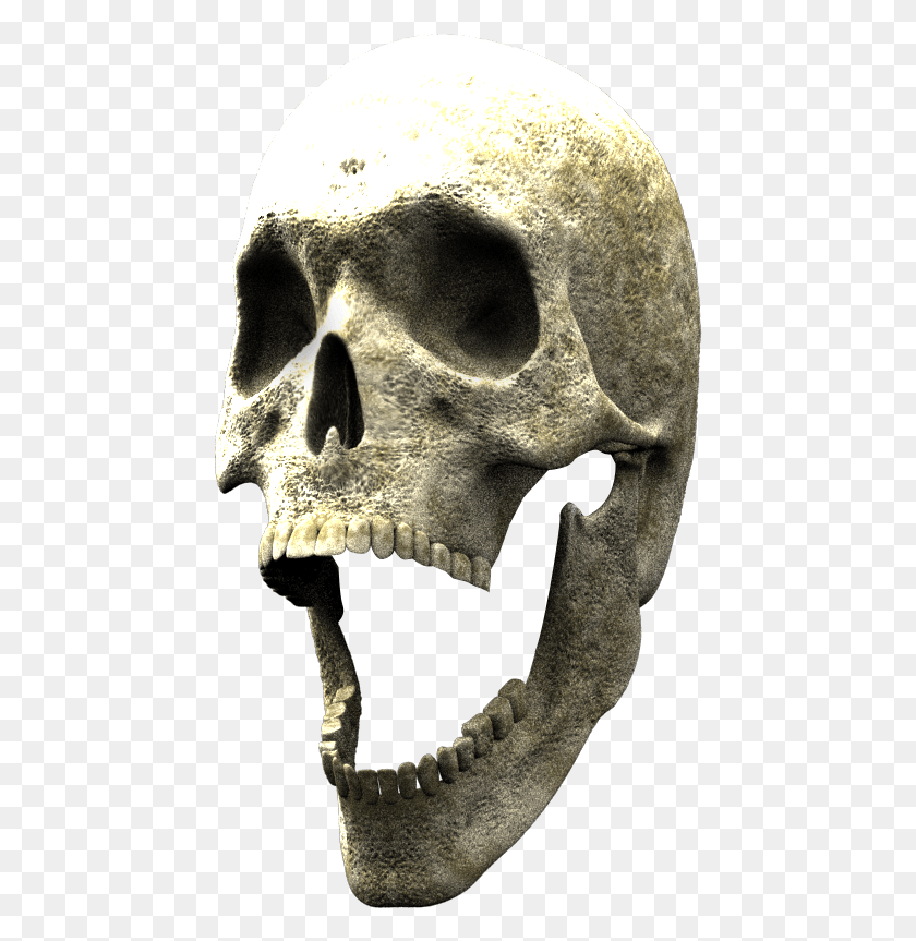 448x803 Here Is The 3d Skull To Finish Your Composite Skull, Jaw, Skeleton, Archaeology HD PNG Download