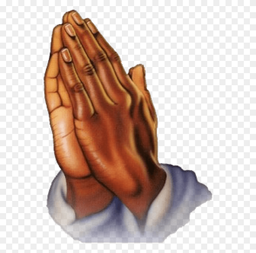 558x771 Here We Will Look At Eight Postures Of Prayer Discuss Transparent Prayer Hand, Person, Human, Finger HD PNG Download