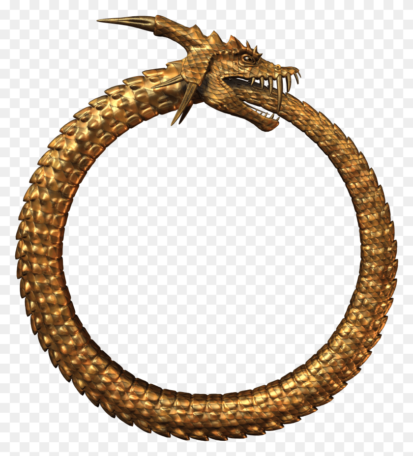 1776x1978 Here You Can See The Ring Posed Model As Rendered With, Bracelet, Jewelry, Accessories HD PNG Download