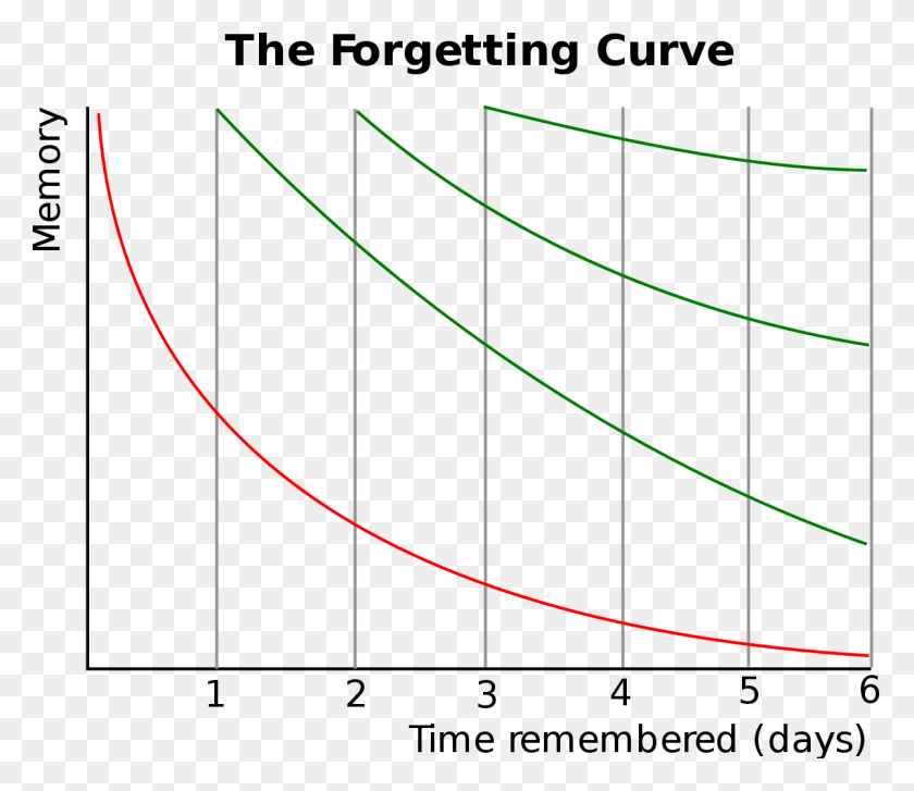 1200x1027 Hermann Ebbinghaus Forgetting Curve, Bow, Plot, Text HD PNG Download
