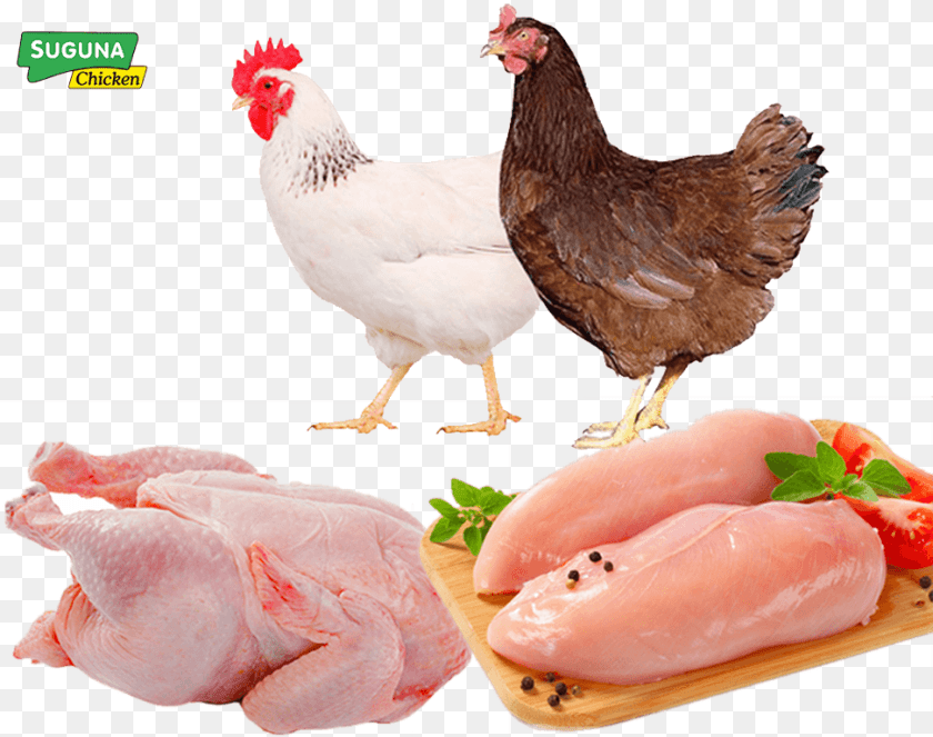 972x767 Hero Image Fresh Chicken Breast, Animal, Bird, Fowl, Poultry Clipart PNG