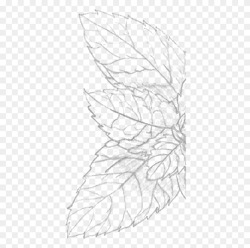411x773 Hero Sketch, Leaf, Plant, Veins HD PNG Download