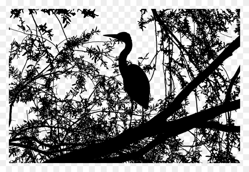 960x640 Heron Bird Trees Tree Branches Landscape Nature Ciconiiformes, Gray, World Of Warcraft HD PNG Download