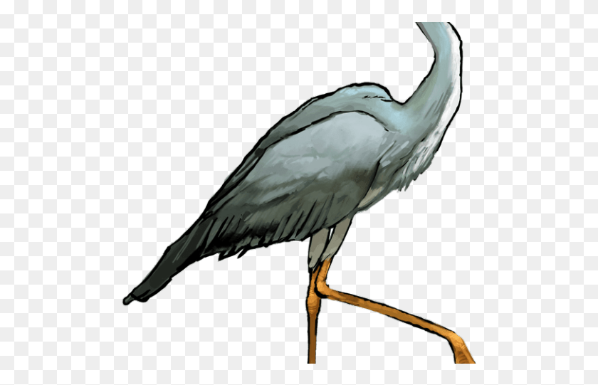 500x481 Heron Clipart Crane Bird Great Blue Heron Transparent Background, Animal, Waterfowl, Stork HD PNG Download