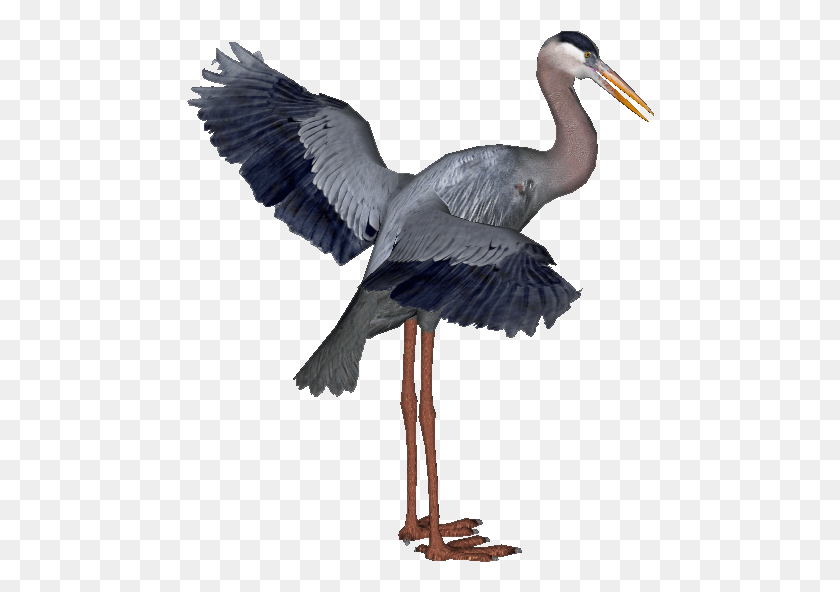 468x532 Heron For Designing Projects Great Blue Heron Transparent, Bird, Animal, Stork HD PNG Download