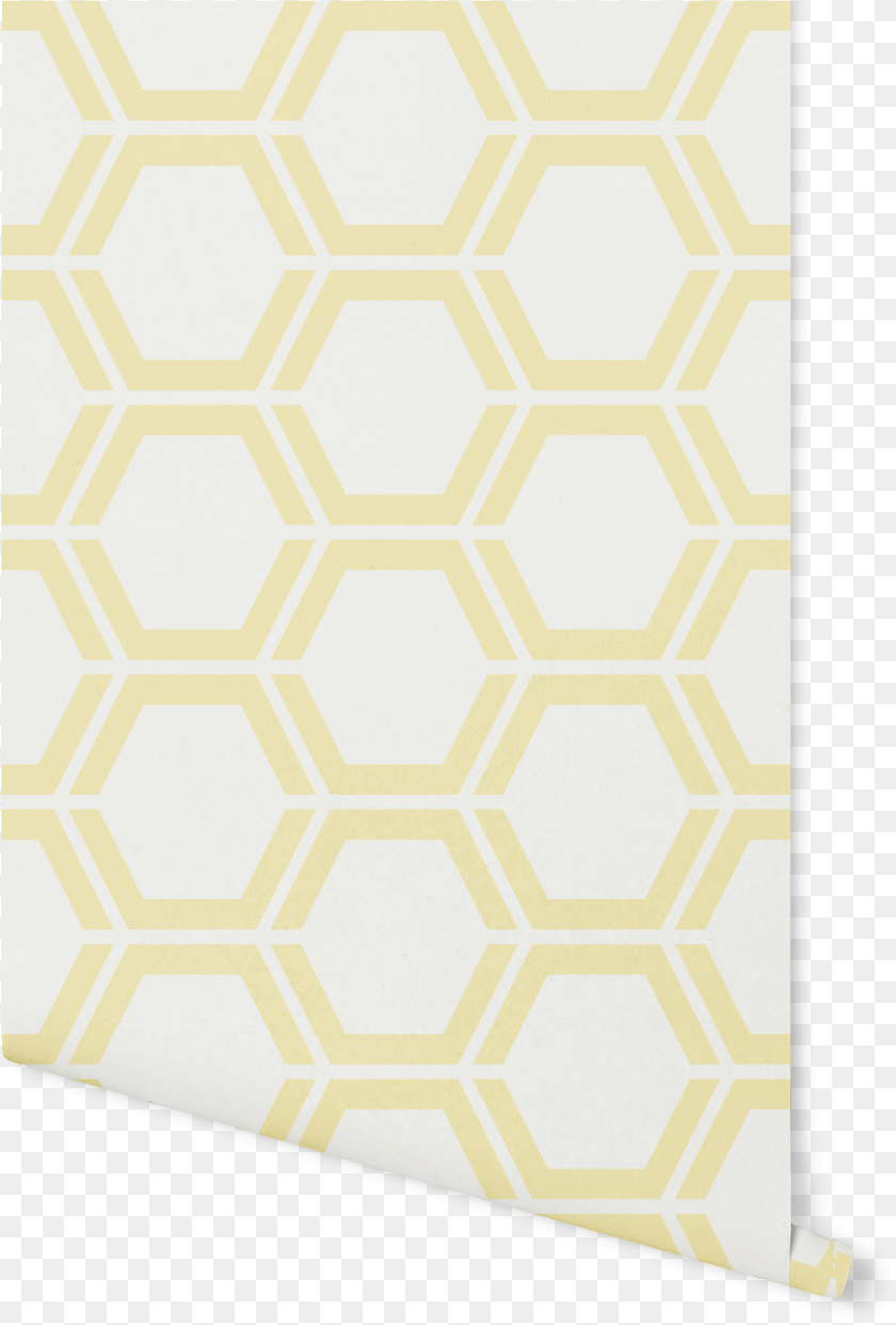 1251x1849 Hexagondata Zoom Cdn Wallpaper, File Binder Sticker PNG