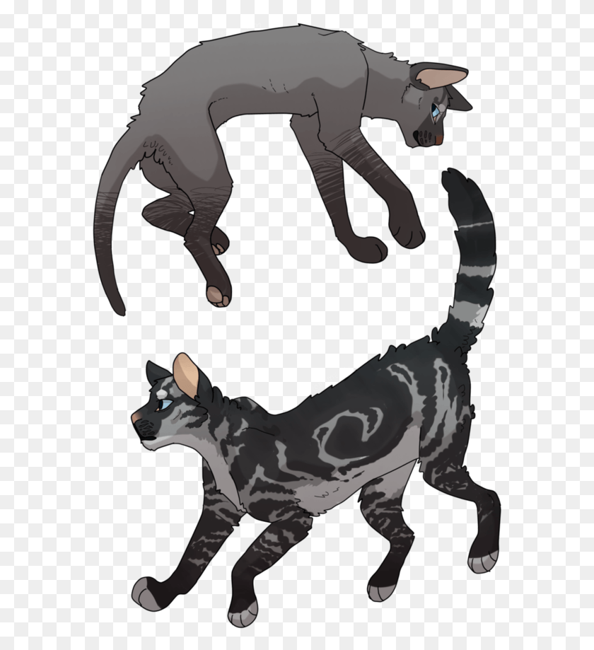 580x859 Hey Brother By M0zarts Warrior Cat Drawings Warrior Dog Catches Something, Mammal, Animal, Pet HD PNG Download