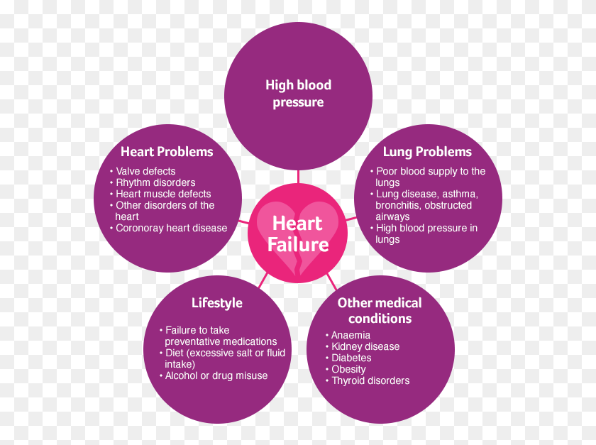 577x567 Hf Basics Circles Causes Heart Problems, Purple, Diagram, Text HD PNG Download