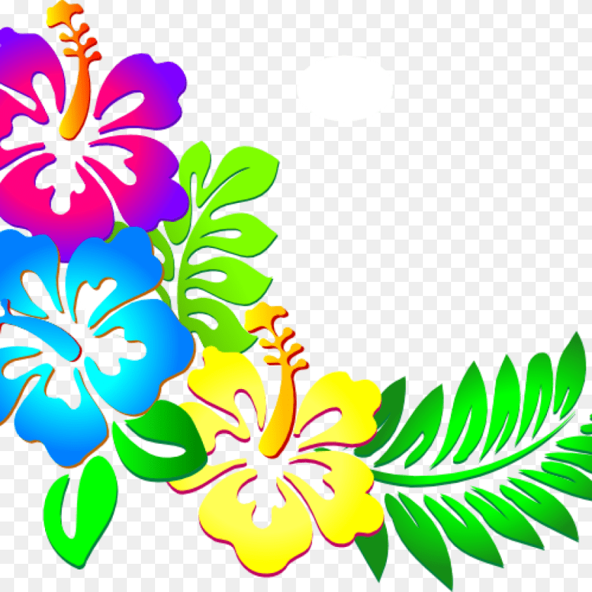 1024x1024 Hibiscus Border Hawaiian Floral Border, Art, Floral Design, Flower, Graphics Sticker PNG