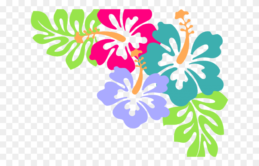 640x480 Hibiscus Cartoon Hibiscus Clip Art, Plant, Flower, Blossom HD PNG Download