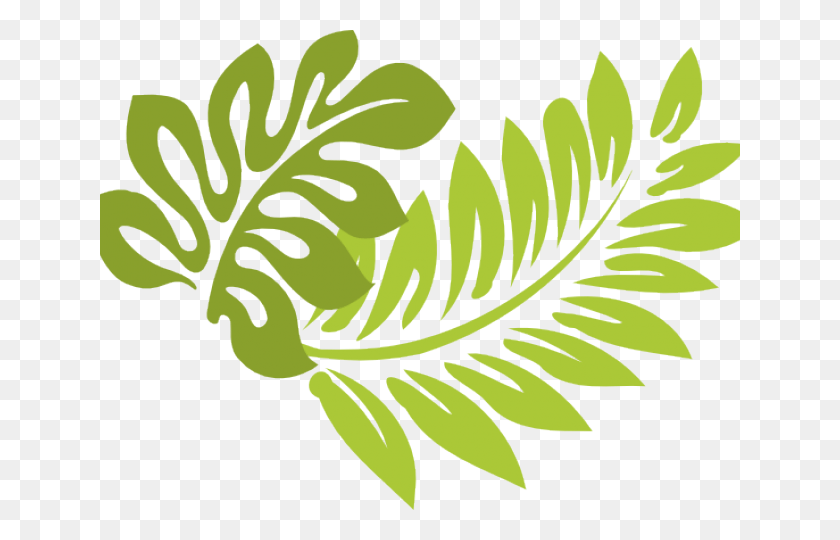 640x480 Png Гибискус, Лист, Растение, Зеленый Hd Png Скачать